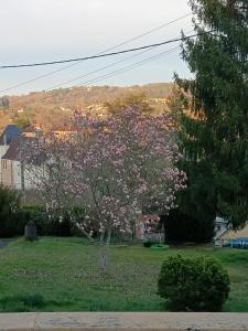 Maisons de vacances gite le sarlat d'oie : photos des chambres