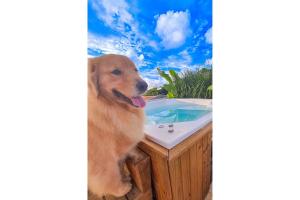 Piscina Aquecida, Jacuzzi, internet veloz, no centro de Serra Grande - Apt Verde - Vila Pitangueira