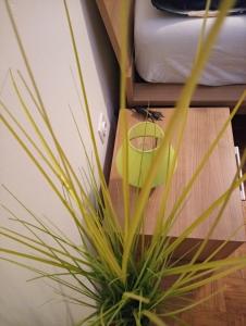 Apartment San Izola - near the beach