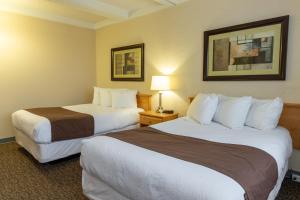 BCM Inns Fort McMurray - Downtown