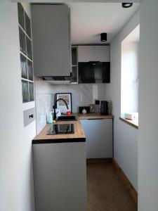 Uroczy apartament w centrum Krakowa