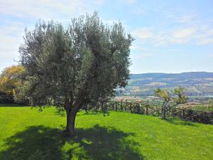 Agriturismo MonteMaggio