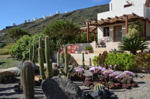 Absolute peace south villa