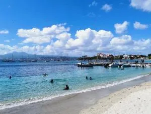 Fleur d'Acacia - Les Trois-Îlets