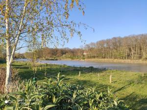 Campings MobileHome **** Zoo-Beauval, Chateaux de la Loire : photos des chambres