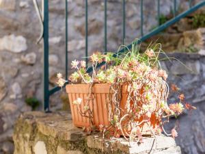 Maisons de vacances Modern Holiday Home in Minerve with Private Courtyard : photos des chambres