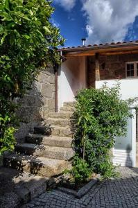 Casa de Barreiros Camélias de Basto