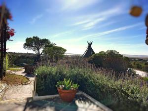 Farr Out Guest House