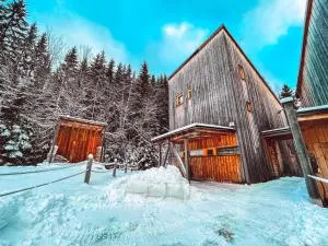 Naturepark Resort - Harrachov