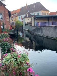 Chalets Smart Home Paris mit Terrasse, Europapark, Rulantica 15min : photos des chambres