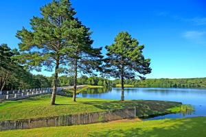 Mobil Home XXL 4 chambres - Camping Le Coiroux