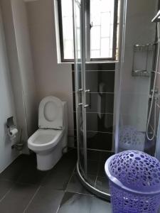 Soho Studio Apartment