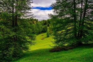 Auberges Eco-hotel et Yourtes du Mercantour : photos des chambres