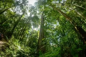 Talamanca Nature Reserve - Chimirol