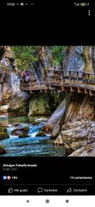 Apartamentos Buena Vista 4