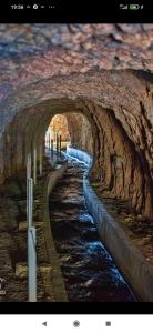 Apartamentos Buena Vista 4