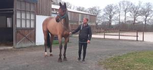 Appartements gite du haras : photos des chambres