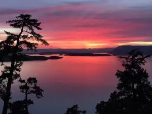 Shangri-La Oceanfront vacation home - 悉尼