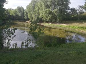 Campings la dune blanche : photos des chambres