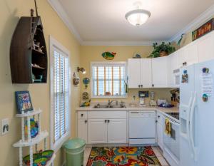 Purple Parrot 37Cd By Pkrm