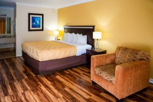 Standard King Room - Non-Smoking  room in Quality Inn Richmond Hill - Savannah I-95