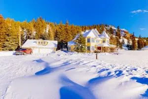 The Dragonfly - Platoro