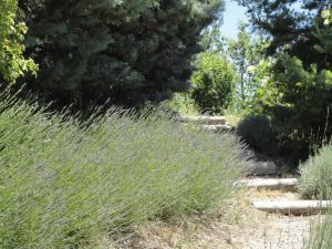 Maisons de vacances Un Gite de Charme en Haute Provence : photos des chambres