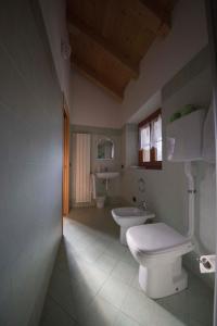 Bed in 6-Bed Mixed Dormitory Room with Private Bathroom