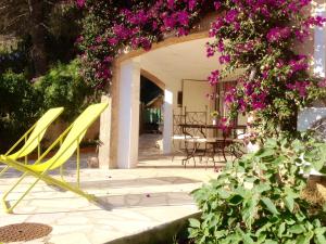 Villa Lou Gecko