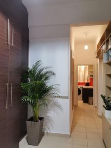 Santi Padri Apartment