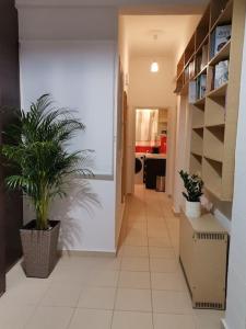 Santi Padri Apartment