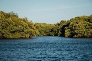 Raalmadu Wilpattu