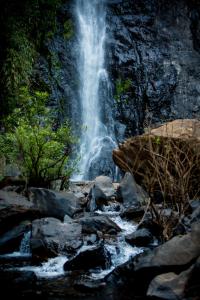 The Postcard Hideaway, Netravali Wildlife Sanctuary, Goa