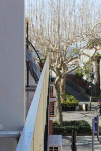 TEA Isola Dino - HOTEL & HOME - Praia a Mare