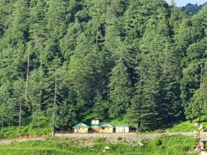 Bluepine Cottages Pangot by Nature Nests