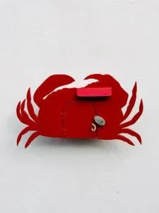 Le crabe rouge - Groix