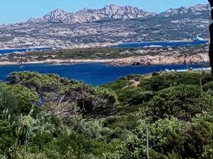 Villa Carlotta la Maddalena img4