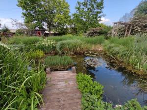 Maisons de vacances Au Jardin de la Marquetterie : photos des chambres