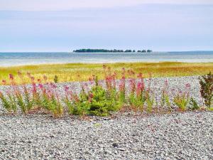 5 person holiday home in Romakloster-By Traum