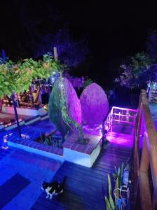 Oasis Natural