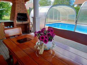 schönes Ferienhaus mit grossen Pool 250 m vom Balaton