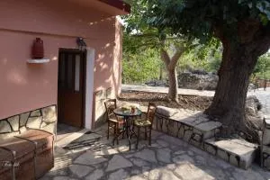 Drosostalida - Psari Forada