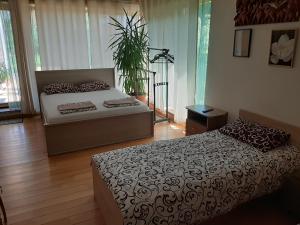 Apartamentai Luna