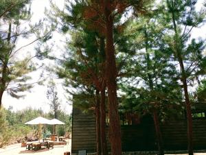 Refugio Silvestre Parque Nacional Siete Tazas-Salida a río y pesca