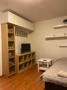 Comfortable and Spacious Good Apartaments S9