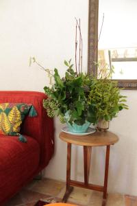 B&B / Chambres d'hotes Le Clos Pontillon - Maison d'hotes : photos des chambres