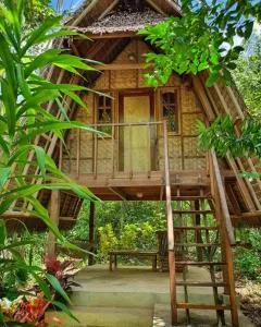 Lazy Lizard Hostel - Solangon