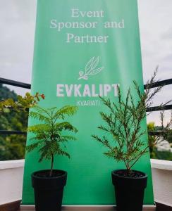 VILLA EVKALIPT Kvariati