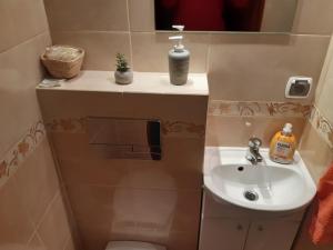 Apartament Rodzinny Orłowo