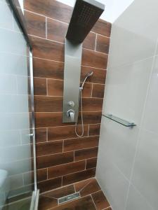 VILLA GYG PUERTO VALLARTA